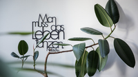 180507 balett am rhein 1060