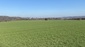 012 feld zeche img 7397