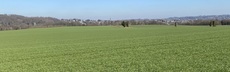 012 feld zeche img 7397