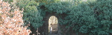 023 burgruine isenburg p1050339