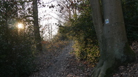 025 schild treibt rauf p1050349