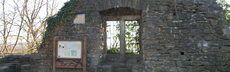 024 burgruine isenburg p1050344
