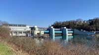31 stauwehr werden